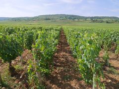 2016ワイン＆チーズ産地ドライブ旅行(4)：2日目ボーヌ　～ボーヌワインの村～