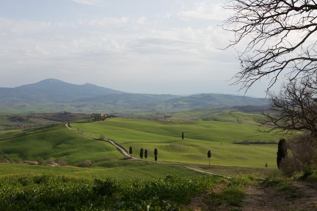 イタリアへの旅行券をプレゼントされ、トスカーナ州に10泊12日で行って来ました。南シエナは公共交通が乏しい地域です。オルチャ渓谷などを効率よく観光するために、現地のプロのフォトグラファーに依頼し、カメラのレッスンを受けながらドライブ観光します。安くはないですが、気になっていた場所を回ることができ、いい写真も残すことができて、好奇心が満たされました。