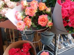 4泊5日でノンビリソウル