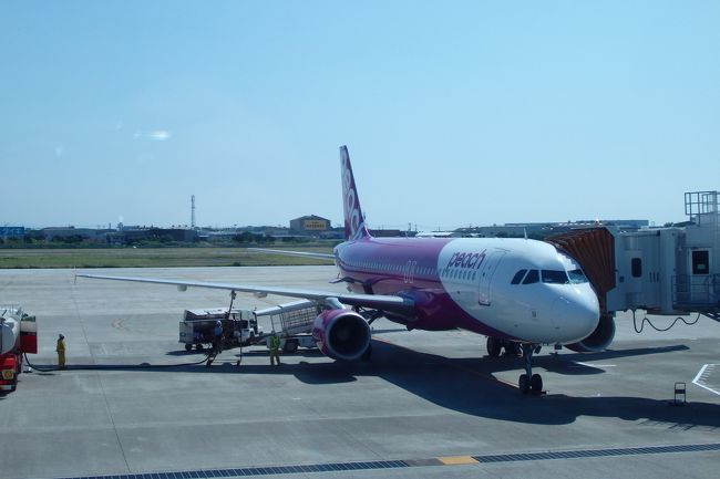 関空でお腹いっぱいになりまして、いよいよPeach便で松山へと向かいます。<br /><br />2018/08/02投稿
