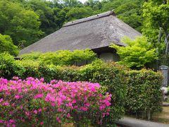 願成就院　運慶作　国宝指定の仏像を拝見　御朱印に文字を書いて頂いたのは外国人の僧侶の方でした!　美しい文字