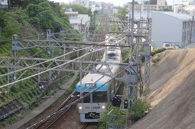 ２年前から欲しいと思っていたCARRYMEという小型の折り畳み自転車をついに買ってしまった。一週間前に何となく自転車屋さんに行ったら試乗車があり乗ってみたところなかなか良くて１日考えた末、翌日に注文し納車まで待ち遠しい一週間を過ごし予定より１日遅れでこの日に納車となった。<br />電車の写真がメインでもなくあじさいの写真がメインでもなく自転車の写真がメインでもなく中途半端な記事となってしまったが、念願の新車納車日記念の記録として残すことにした。<br />全駅の写真と駅間の写真だけは必ず撮ることにしてできるだけ線路沿を走行した。京王井の頭線は線路沿いに紫陽花がたくさん植えられていて今の時期は見ごろかもしれない。<br /><br /><br />井の頭線について調べてみた<br /><br />この路線はなんといっても駅間の距離が500m～1200mと短く平均で800m程度しかないのが特徴。<br /><br />駅数は？<br />→17駅だった<br /><br />路線距離は？<br />→12.7km<br /><br />最高速度は？<br />→90km<br /><br />車両は何は何色？<br />→8色もある<br /><br />京王井の頭線の停車駅は？<br />◎が付いてるのは急行停車駅<br /><br />渋谷◎<br />神泉<br />駒場東大前<br />池ノ上<br />下北沢◎<br />東松原<br />新代田<br />明大前◎<br />永福町◎<br />西永福<br />浜田山<br />高井戸<br />富士見ヶ丘<br />久我山◎<br />三鷹台<br />井の頭公園<br />吉祥寺◎