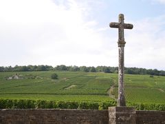 2016ワイン＆チーズ産地ドライブ旅行(6)：3日目ボーヌ・ロマネ村　～ロマネコンティの畑～