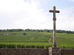 16ワイン チーズ産地ドライブ旅行 6 3日目ボーヌ ロマネ村 ロマネコンティの畑 ボーヌ フランス の旅行記 ブログ By Mewさん フォートラベル