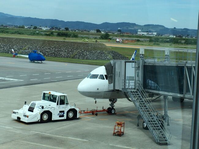 　2018年6月23日、日帰りで東京へ行ってきました。<br />　往復の交通手段は自宅最寄空港のひとつ富山空港からのANA便で、運賃は新幹線より大幅に安い15,000円弱でした。<br />　行きは、ＮＨ316便に乗りました。<br />　最新型のA321neoが使用されていました。