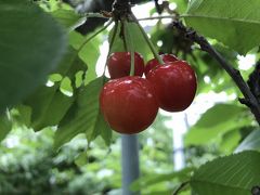 【2018・6】昔ながらの風景を残す  みなかみ町・たくみの里