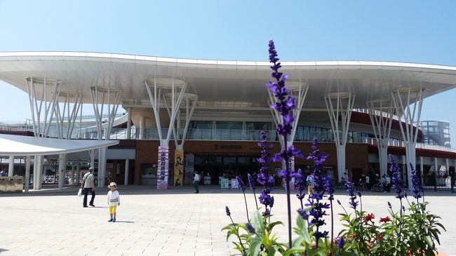 函館滞在三、四日目<br />相方メインの函館競馬<br />ゆるりゆるりの函館旅行<br />ゆるりゆるりの函館競馬<br /><br />勝つも負けるも楽しけりゃそれでよし<br /><br />今日も１日楽しみましょう<br /><br />ほぼ函館競馬場とホテル<br />ときどきラッキーピエロや魚さんこ