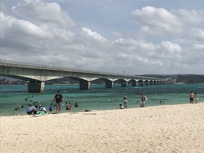 2年前に行けなかった沖縄旅行のリベンジ。<br />直前に大阪北部地震があり、今回も中止になるか、、と不安になりましたが、何とか鉄道も復旧したので、予定通り出発！<br />今回の目玉は、老婆の初シュノーケル！<br />無事達成できるか？！<br />行きは関空9:10発、帰りは那覇12:10発(JAL)<br />ホテルはリザンシーパーク