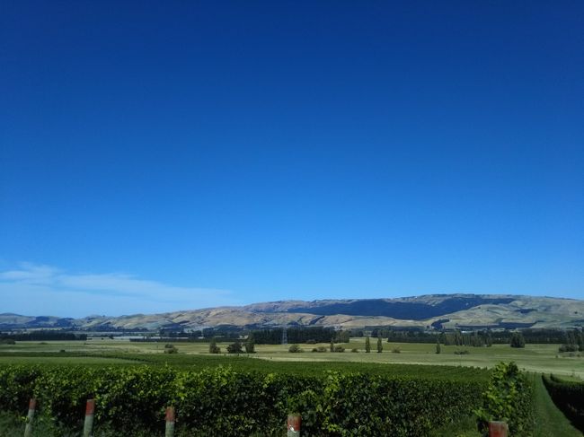 ①では、ニュージーランド南島を南下しました。オークランドからブレナムに入り、マールボローのワイン産地を巡り、今度はブレナムからクライストチャーチに入り、ワイパラバレーのワインを堪能しました。コバルトブルーの空が広がり、最高のワイナリー訪問でした。