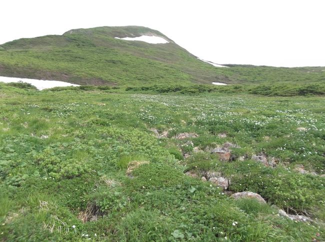 岩手の山旅２　花の山・焼石岳