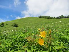 梅雨の晴れ間に・・ニッコウキスゲを見に、日光霧降高原へ。