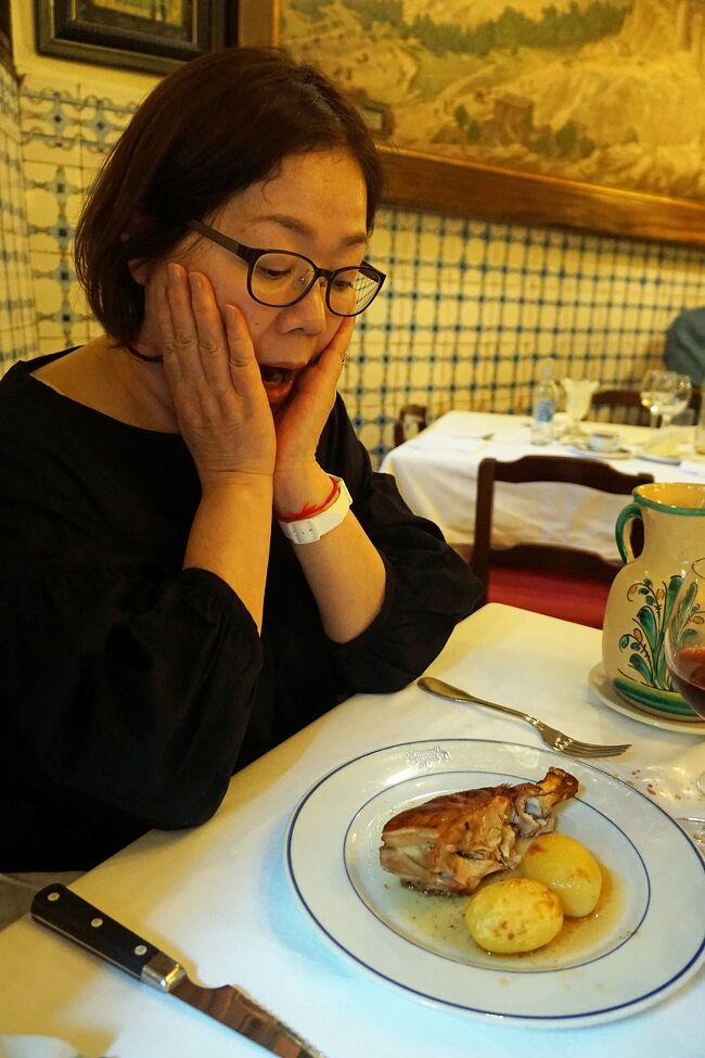 復讐と再挑戦。リベンジ・スペイン（40）ソフィア王妃芸術センターでゲルニカを見た後は世界一古いレストラン・ボティンで子豚を食べる。