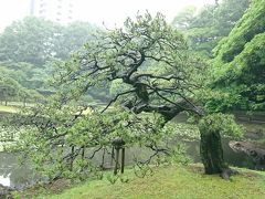 小石川後楽園と日中友好会館美術館へ行ってきました。