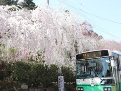 八ノ一　春の奈良～室生・明日香（桜と御朱印）