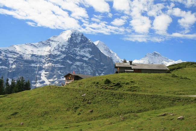 ブスアルプという高原エリア(1800m)からグリンデルワルトまで歩く下りハイキングです。常に、アイガーを主役とするベルナーアルプスの峰々を眺めながら歩ける下りコースなので、歩くのが苦手な方にもお薦めです。ブスアルプへはグリンデルワルトからポストバスで行けます。