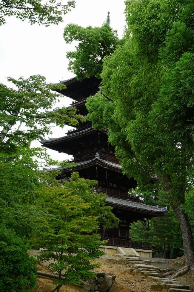 広島からの帰りに1泊した京都の観光も2日目。<br />朝ホテルでゆっくりと朝食を摂った後に荷物のホテルから京都駅までのデリバリーを依頼してから観光に出発。<br />京福電鉄嵐山線に乗って太秦広隆寺駅で降りて広隆寺の国宝、弥勒菩薩半跏像と阿弥陀如来像他を拝観。この聖徳太子ゆかりの寺には有名な弥勒菩薩をはじめ十二神将立像を含めると9点の国宝、30点を超える重文が存在するのだが、一般的な観光ルートには入っていないのか?とても静かに素晴らしい仏像を拝観できるお薦めの場所である。<br />昔教科書で見たことがあり、日本で最も美しい弥勒菩薩と言われるこの菩薩像は天平時代の作。どうしても肉眼で見てみたかった、今回の旅行でも一番楽しみにしていた仏像だ。<br />国宝指定1号と言われ、国宝仏像でも別格と思われる本像の事だからさぞ混み合っているかと思いきや?幸運にも拝観していたのは僅か数人という幸運に恵まれ、ゆっくりと堪能させて頂いた。<br />此処も写真撮影は禁止だったが、予定を超えてじっくりと拝観出来た。<br />その後趣のある京福電鉄を乗り継いで仁和寺へ参詣。この寺は春と秋の一時しか収蔵の仏像を公開しないので、主に境内の建物を中心に見学した。<br />此処まで来たのだからとついでに嵐山まで足を延ばしたが、修学旅行生と中国人団体客でごった返していて幻滅!<br />早々に退散した。嵐山、嵯峨野は時間がある時にでも桂川を渡って観光客の少ない奥の寺院を散策するのが得策と心得た。<br />京福電鉄で京都市中心部に戻り、今度は最後の訪問先九条の東寺へ。<br />夕方までゆっくり参観した後に京都駅に戻り、荷物を受け取って新幹線で東京に戻った。