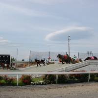 初夏の帯広ーばんえい競馬を楽しんだ