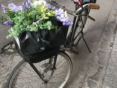 2018年5月　初のイタリア3都市芸術の花咲く町歩き-8