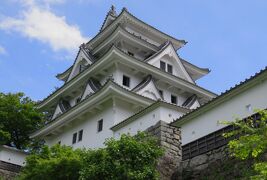 2018春、岐阜と愛知の名城(5/12)：郡上八幡城(5)：再建の正門、再建の隅櫓・塀