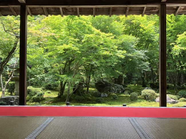 週間天気予報でも雨の日が多い梅雨の京都ですが、梅雨の晴れ間を狙って圓光寺と詩仙堂に行ってきました。
