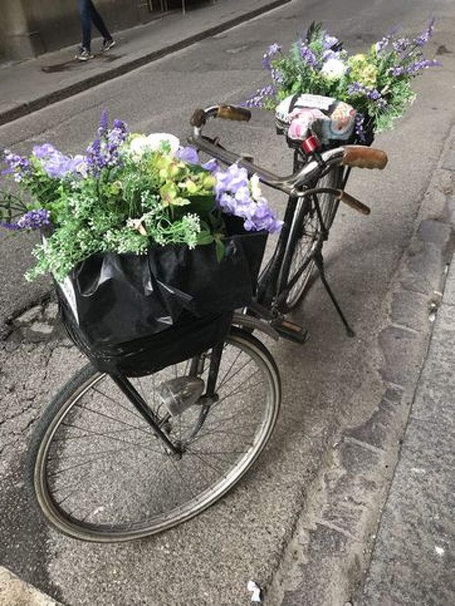 2018年5月　初のイタリア3都市芸術の花咲く町歩き-8