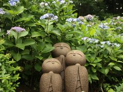 紫陽花の見納めに＠鎌倉・長谷寺