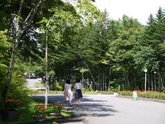 北軽で夏休み　私の散歩道