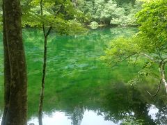 四季を通して楽しむ湯沢＜初夏編＞/ Enjoying Echigo Yuzawa through a year <Early　Summer>