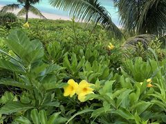 ブセナテラスに泊まる沖縄2泊3日