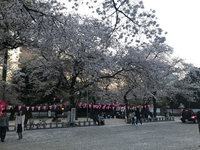 川越散歩<br />蓮馨寺や喜多院でプチお花見しました。