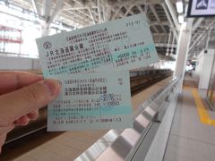 北海道&東日本パス＋北海道内特急オプション券の旅　①　LCCで新潟-磐越西線-米坂線