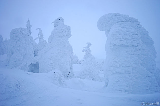 山形蔵王の冬の風物詩といえば、世界に誇る奇景「樹氷」<br />念願の樹氷を今回はライトアップ観賞と、<br />ナイトクルージングというイベントで楽しんできました！<br /><br />あいにくの猛吹雪で微妙な感じもありましたが、まぁキレイでした<br /><br />今度は是非晴れた日の樹氷を見に行きたいです。。。<br /><br />▼よろしければより詳細な旅行記も併せて御覧ください<br />http://blog.tabinomori.com/asia/japan/20180220_japan_zao-snow-monsters/