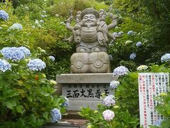 ６月２９日　見頃を迎えた２万株の紫陽花、千葉県大多喜　麻綿原天拝園
