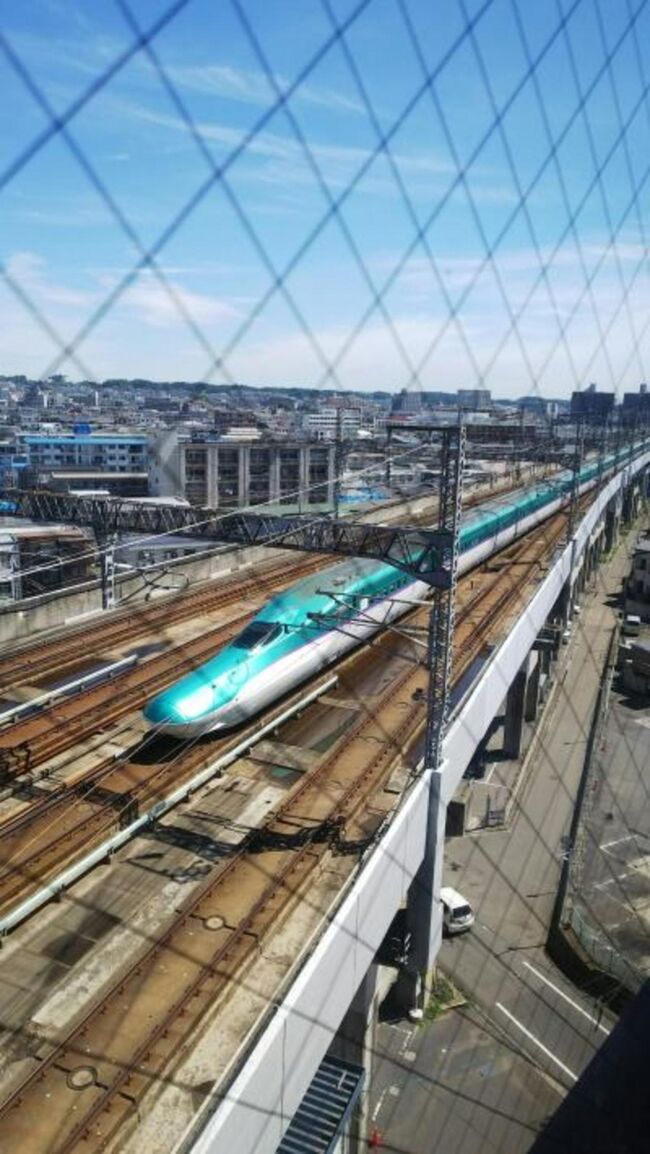 毎度おなじみホテル宿泊記です。<br />日帰り予定で行った仙台でしたが、疲れと名残惜しさで帰るのがイヤになり急遽1泊することにしました。スマホで予算が許す格安宿を探しましたが金曜夕方だけに苦戦し、辛うじて1室空いていた「ホテルパレス仙台」に宿泊です。思い出用にレポにまとめましたので、特に鉄オタの方の参考になれば幸いです。