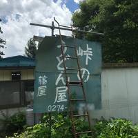 【2018・6】日帰り群馬旅・秘境上野村の極太手打ちうどん【峠のうどん屋 藤屋】