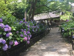 奈良てくてく旅行！紫陽花と商家町を訪ねて…ひとり旅編！