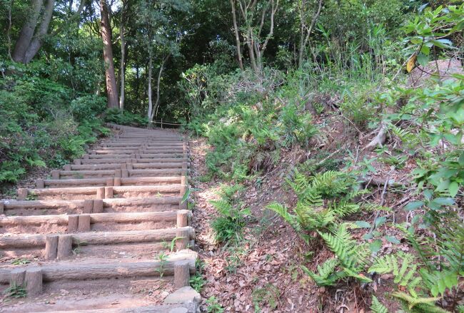 2018春、岐阜と愛知の名城(11/12)：小牧山城(1)：大手道からの登山、小牧山稲荷神社