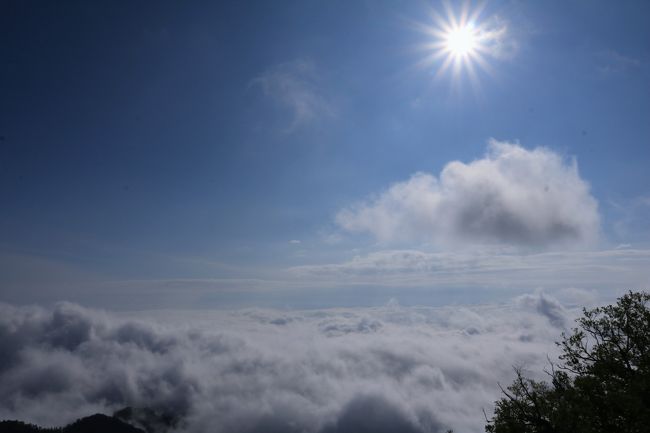 北海道の旅も３日目最終日となりました。<br />３日目のハイライトは、津別峠の雲海とノンノの森のクリンソウ。<br /><br />雲海は、登山で数多くの雲海を見てきました。<br />余談ですが最高の雲海は、丹沢の塔ノ岳で見た、富士山と雲海でした。<br />これを超えるような雲海でしたら、最高の気分でしょう。<br /><br />出発前に、美幌峠の雲海情報を毎日見てました。<br />http://www.bihoro-k.com/unkai/<br /><br />１週間前ぐらいからですが、毎日２０～３０％の確率。<br />これでは、見えないのと同じです。<br />たぶん津別峠でも同じ結果だったと思いますが、当日晴れでしたから、絶対出るの確信を持ちました。<br />が、時間的に残念な結果になりました。<br />