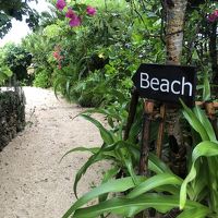 梅雨子連れ石垣島旅行  小浜島編