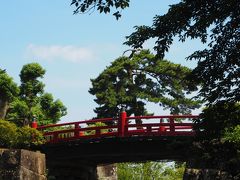 小田原城址公園　紫陽花・菖蒲祭り　開催終了日にやっと!今年は見に出かけられた(#^.^#)