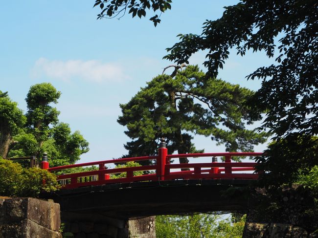 神奈川県小田原市城内6-1<br /><br />小田原駅から徒歩約9分<br />営業時間：通年 9:00～16:30<br /><br />今年は　紫陽花・菖蒲の花など　開花時期が早く<br /><br />行こう!と　<br />気がついた時には　最終日でした(^_^;)<br /><br />約7,000株の花菖蒲<br /><br />城址公園の約2,500株のあじさい<br /><br />と言うことでしたが　菖蒲の花は　既に　散ってしまって<br />殆ど　見られませんでした・・・・<br /><br />ああ・　来年こそは!<br />と思って　また今年も　花の時期を逃してしまいました。<br /><br />紫陽花を　愛でながら　歩いてきました。<br /><br />