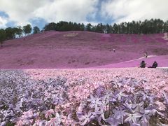 春の北海道で釧路湿原と東藻琴芝桜公園