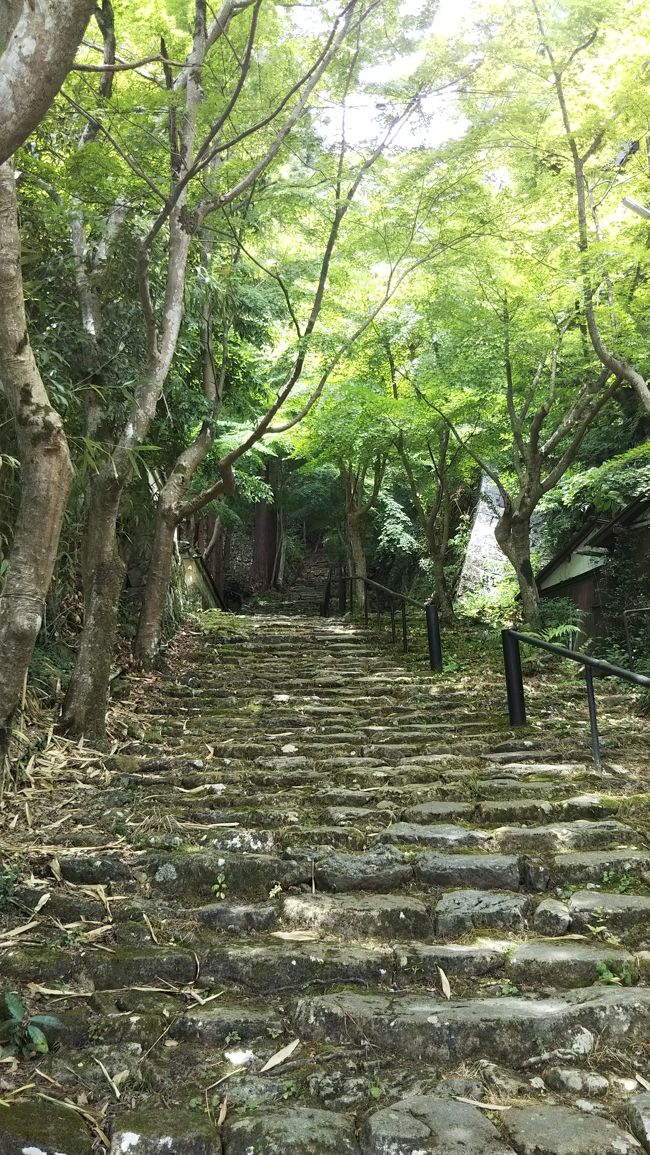 滋賀県の近江八幡市から東近江市にかけて、繖山（きぬがさやま）という山があります。ここは、古くから神体山として崇めらてきたようです。その関係もあり、この近辺には歴史ある寺社が今でも多くあります。<br /><br />国道8号線沿いにある奥石（おいそ）神社があります。ここには老蘇（おいそ）の森と呼ばれる古くから歌枕として名高い森が広がり、その背後に見える繖山を神体にした神社です。なかなかよい雰囲気ですが、どうやら安産祈願でも有名なようで、ひっきりなしに色々な人がやって来ていました。<br /><br />そこから車で5分ほどの所に近江商人屋敷があり、重要伝統的建築物群に指定されている五箇荘金堂地区があります。そこを抜け、繖山の麓に向かうと石馬寺があります。麓から長い石段を登ると石馬寺に到着します。<br /><br />ここの収蔵庫は凄いですよ。巨大な阿弥陀如来坐像を始め、10体ほどの仏像がありますが、全て重要文化財です。中でも、大威徳明王、役行者像は国宝してされてもおかしくないのではという仏像です。大威徳明王は作例が少ない上、一木造です。よく一本の木から、この複雑な腕と足を彫ったなと感心するばかりです。ちなみに、台座にあたる牛も同じく一木造で愛らしい感じです。<br /><br />役行者は鎌倉時代の作で、慶派の流れを組むようで、手の甲の筋まで精密に彫られており、本当におじいさんのようです。ものすごい技巧の仏像です。<br /><br />麓に広がる五箇荘金堂も含めて見所ある所なので、石馬寺と共にこの地区にまた足を運ぼうと思います。うん。本当に石馬寺には感動しました。
