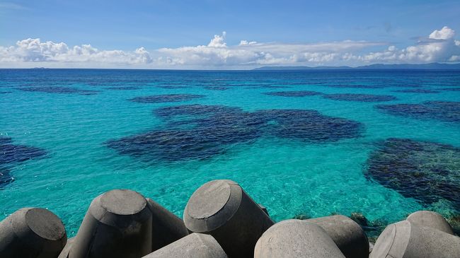 夏至南風が吹き、八重山に夏がきました。<br />沖縄病なら1度は見たい、ニシ浜ブルー！<br />波照間島は大型高速船（ぱいじま２）が就航したものの、<br />欠航のハイリスク状態なのは周知の事実。<br />だけど、ニシ浜や星空も見たいし、<br />ご飯が美味しいと評判のお宿にも泊まりたい。<br />高速船が欠航した際、フェリー運航日、特典航空券の空きなど<br />大人の事情と、色んな欲望を詰め込んだ結果、<br />星空観察には圧倒的不利な日に波照間島へ訪れることになりました。<br />