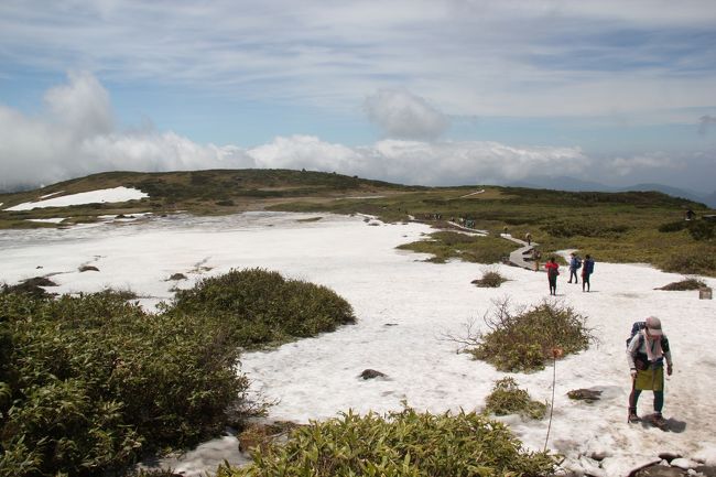 7月連休と8月お盆休みの縦走登山に向けての慣らし登山のため、梅雨期真っ只中第二弾として、週末は晴れ間はなくても雨は降らなさそうな予報だったので金曜日から出発しようと決めていました。(前々週も同じような感じで、その時は無理だろうと諦めモードでいたら、逆に晴れてきたため、完全に準備できてなかったことに後悔していたからでした）<br /><br />でも出発しようと積み込み中、どんどん雨足が強くどしゃ降りになってきて、翌日も雨が残りそうだったので前回同様出発を断念しました。<br /><br />土曜日夕方近くになってこれから日曜日にかけて雨が降らず天気が回復するような様子だったので、日帰りの白山へ行ってきました。<br /><br />今年は、6月30日(土）よりマイカー規制が始まり、登山届が義務化されておりました。<br /><br />土曜日登山にこだわったのは、そのシャトルバス運行期間だけ実現できる別山経由での下山をしたかったからでした。<br />今回も念願かなわず、大汝峰までの往復を目指しました。<br /><br />しかし、例年にない大雪か、一昨年登頂日より2週間程遅いのに、登山道のあちこちで残雪がありました。<br />また、室堂から大汝峰方面に巻いていくルート上も凄い雪で、アイゼンもうっかり持参してなかったので、御前峰の往復だけにしました。<br /><br />時間が経つにつれて、どんどん快晴になってきてたんですが、弥陀ヶ原から山頂付近一帯は、ガスが発生しては止んでの繰り返しで、登頂時は残念ながらスッキリとした眺望が見られず、シャトルバスの時間もあるので、そのまま下山しました。<br /><br />登頂後反対側に見える大汝峰を見たら目指さなくて良かったと思う程視界が悪く、残雪もいつもより多かったように思いました。<br /><br />弥陀ヶ原周辺も南竜テン場方面への木道は、完全に雪に埋もれ、残雪が多かたのが印象に残りました。<br /><br />別当からの帰りのバスは、夕方の下山者が多く30分に1本ではなく、乗客が一杯になったら出発して次のバスがやってくるという感じで、多すぎて乗れないという心配はなさそうでした。<br /><br />今年は日程の都合上、最初で最後の白山になりそうですが、やっぱり何度登っても良い山だなあ、また来たいなと思わせる山でした。