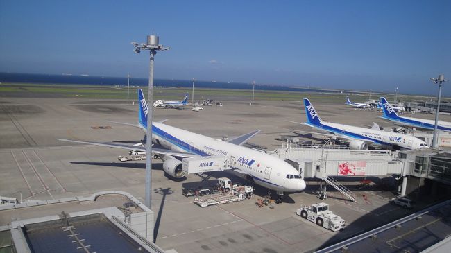 飛行機に乗らないのに　羽田空港に来ました。第一ターミナルから第二ターミナルには、無料循環バスで移動しました。<br />この無料バス　運転技量低いです。歩道と中途半端な位置に停車します。スーツケースある人は、乗り降り大変です。<br />※第二ターミナル<br />ＡＮＡ、　ＡＩＲ　ＤＯ　、ソラシド航空　、ＳＦＪ（福岡線以外）