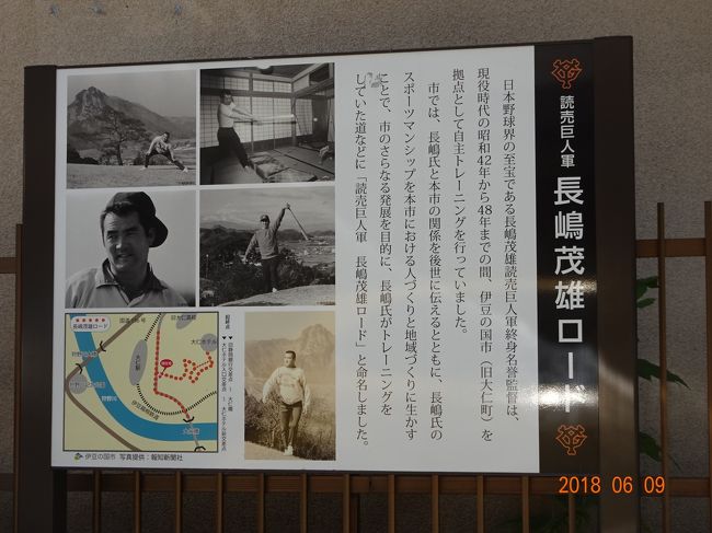伊東園ホテルグループ 大仁ホテル 大仁温泉 静岡県 の旅行記 ブログ By 金木犀さん フォートラベル