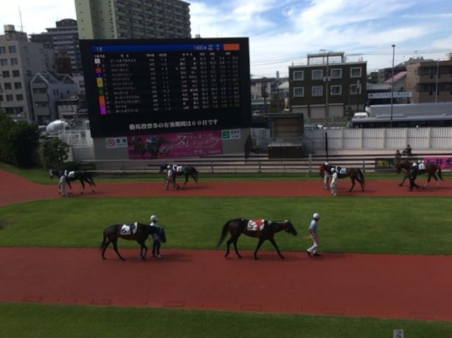 水沢競馬場で食べたホルモンうまかったなー。<br />関東圏内で手軽に食べられたらいいのにと思い、関東圏内の公営ギャンブル場で名物になってるモツ煮込みを食べに行ってまいりました。