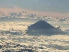 3回の欠航でぐちゃぐちゃになった沖縄出張