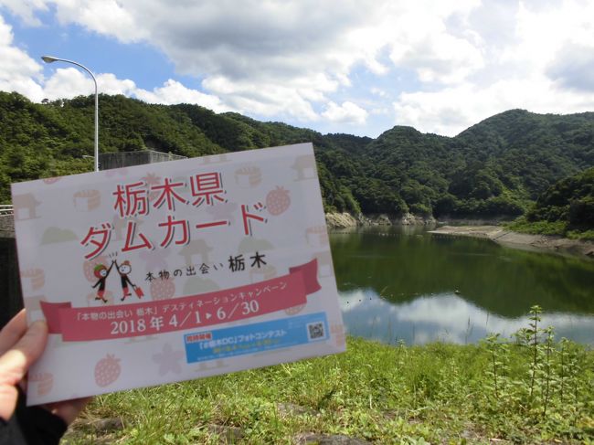 栃木県のデスティネーションキャンペーン（一定期間さまざまな手段を用いて旅行目的地の広告宣伝活動を行うこと）です！<br /><br />「本物の出会い 栃木」観光キャンペーン<br />https://www.tochigiji.or.jp/features/passports<br /><br />限定ダムカードと限定ホルダーゲットツ～リング♪<br /><br /><br /><br /><br /><br /><br />